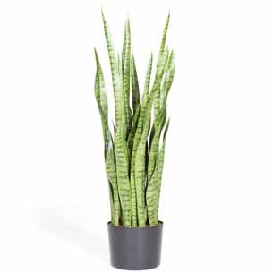 Kunstpflanze - Bogenhanf Sansevieria extra