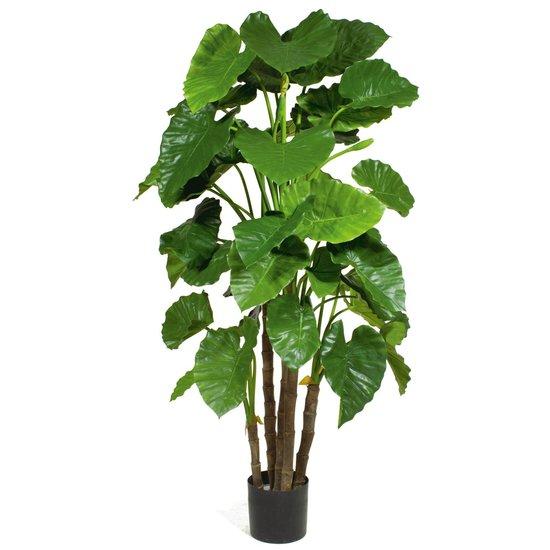 Kunstpflanze Alocasia Calidora