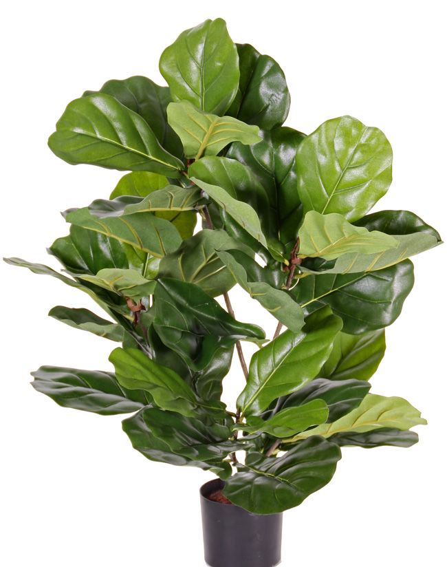 Kunstpflanze Ficus Lyrata UV-Sicher