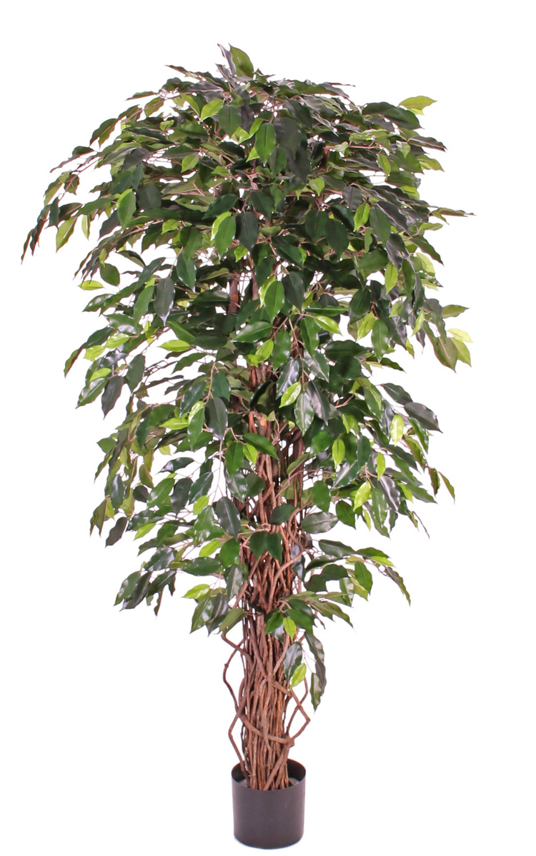 Kunstpflanze Ficus Benjamini