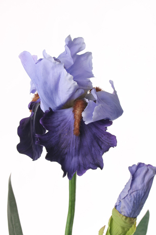 Kunstblume - Iris Schwertlilie de Luxe