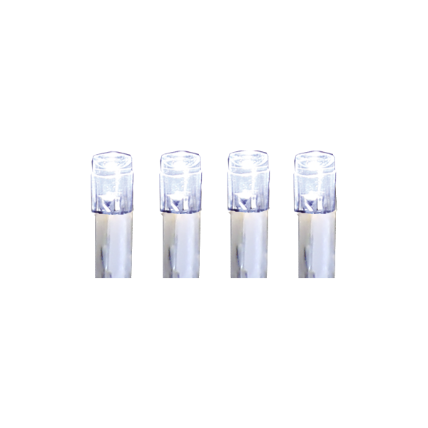 LED Lichternetz 200 x 100 cm